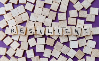 Resilience Training